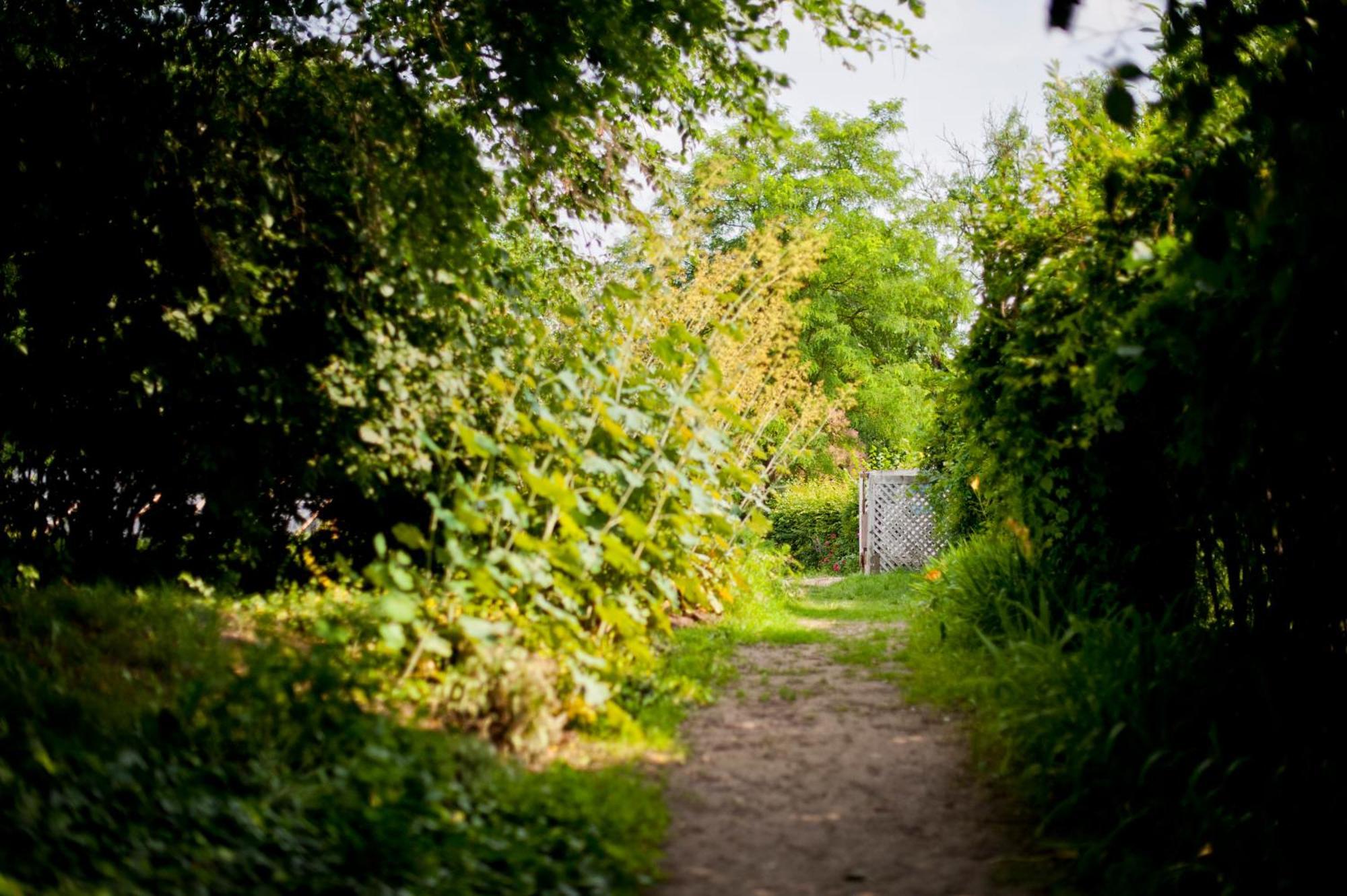Bed & Breakfast Kuznia Palacowa