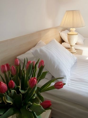 Kuznia Palacowa Bed & Breakfast 3*